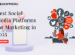The Best Social Media Platforms for Marketing in 2025